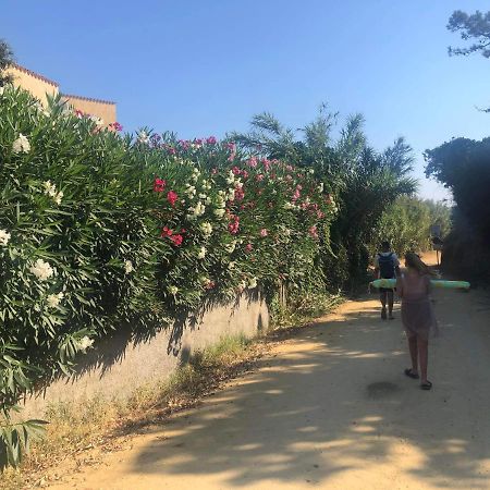 Linguizzetta La Corse Tranquille 300M De La Plage Et Piscine מראה חיצוני תמונה