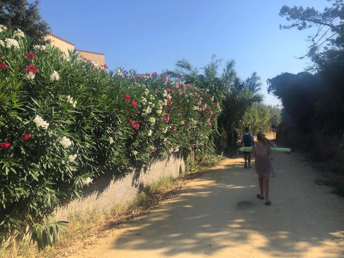 Linguizzetta La Corse Tranquille 300M De La Plage Et Piscine מראה חיצוני תמונה